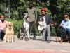 Organisers showcasing different dog breeds at the curtain raiser event to announce the 3rd edition of Panchkula Dog Show at Press Club, Chandigarh