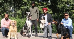 Organisers showcasing different dog breeds at the curtain raiser event to announce the 3rd edition of Panchkula Dog Show at Press Club, Chandigarh