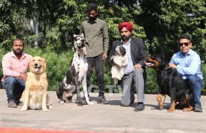 Organisers showcasing different dog breeds at the curtain raiser event to announce the 3rd edition of Panchkula Dog Show at Press Club, Chandigarh