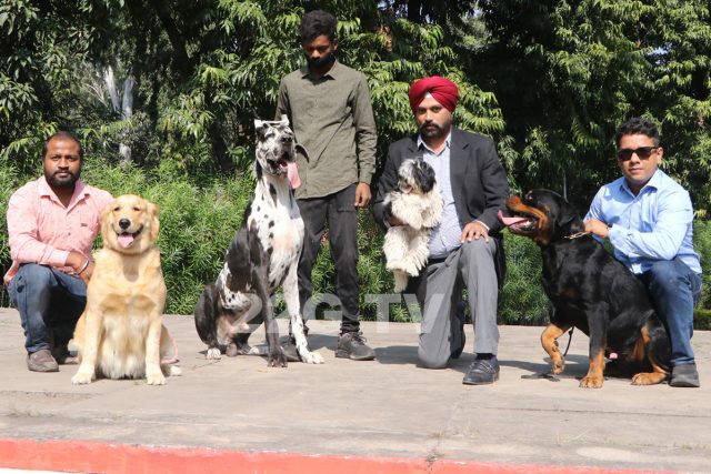 Organisers showcasing different dog breeds at the curtain raiser event to announce the 3rd edition of Panchkula Dog Show at Press Club, Chandigarh