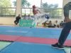 Emerald Martial Arts Academy outshines in State Taekwondo Championship Taekwondo Champions