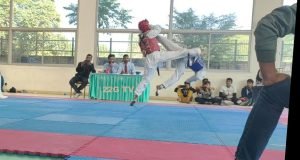 Taekwondo Champions