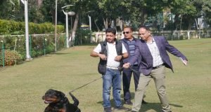 Royal Kennel Club to hold mega Dog Show in Panchkula