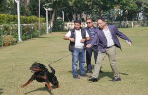 Royal Kennel Club to hold mega Dog Show in Panchkula