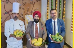 ‘Go Man-Go’ Festival Kicks Off at Velvet Clarks Exotica, Zirakpur – Chandigarh Go Man Go Festival