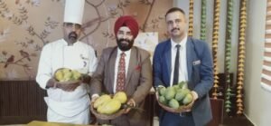 Go Mango Festival Zirakpur