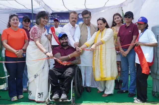 wheelchair cricket