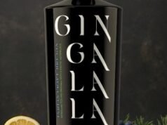 DeVANS Modern Breweries forays into the premium gin category with the launch of ‘Gingalalahu’ DeVANS Modern Breweries