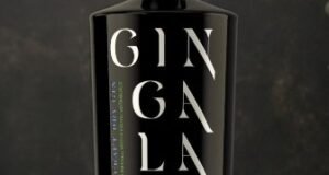 DeVANS Modern Breweries forays into the premium gin category with the launch of ‘Gingalalahu’ DeVANS Modern Breweries